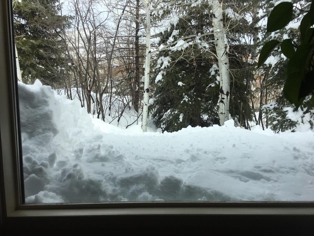 Window is dug out. We have a view again!