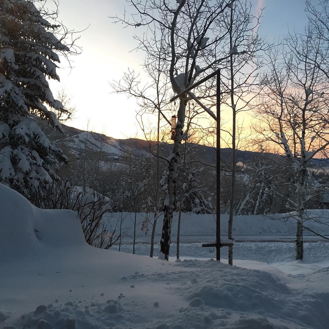 Hello sun