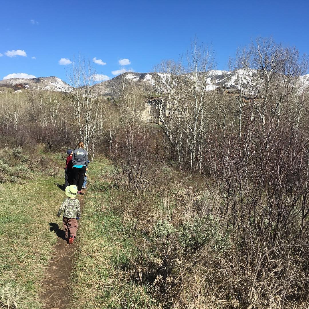Beautiful day for a hike on Fox Creek Trail