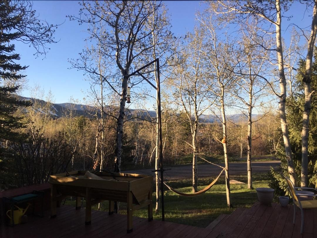Good morning Steamboat