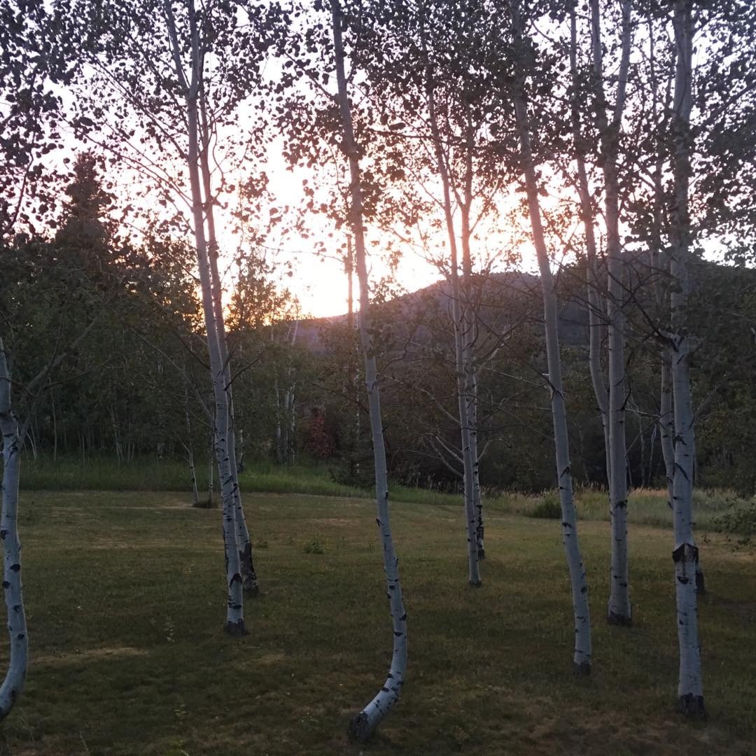 Morning light