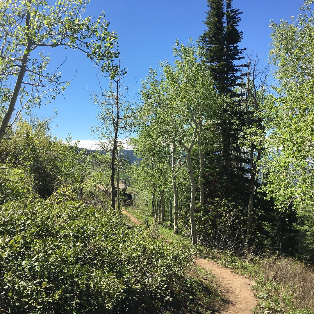 Fun hike on Vista Nature Trail.