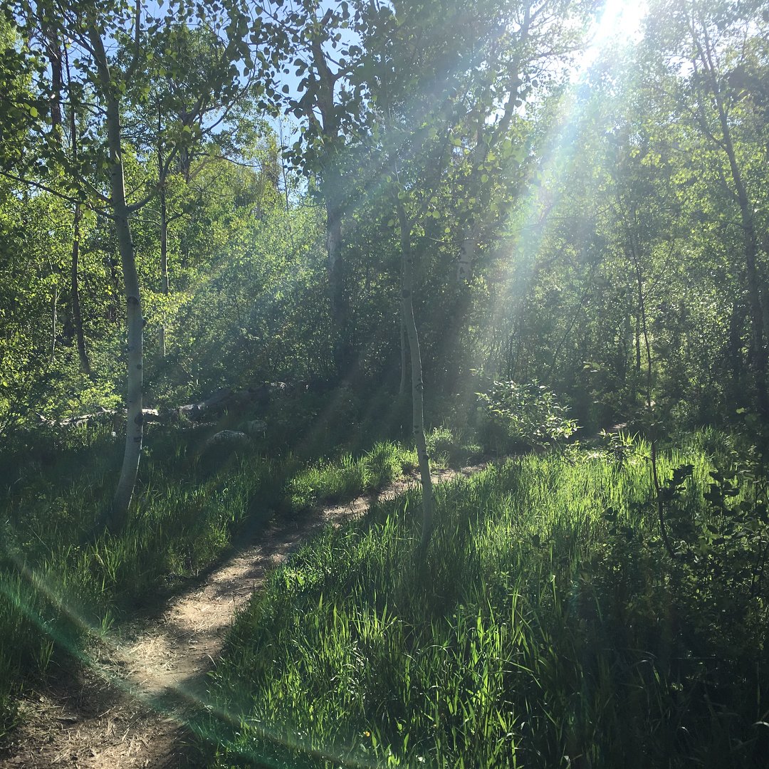 Discovered this gem of a trail this morning, 5 min from our house.