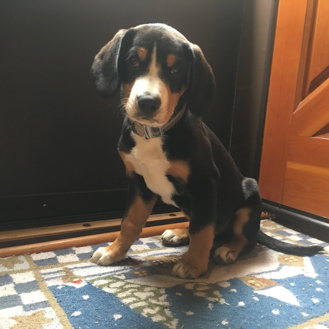 This little dude is growing fast.