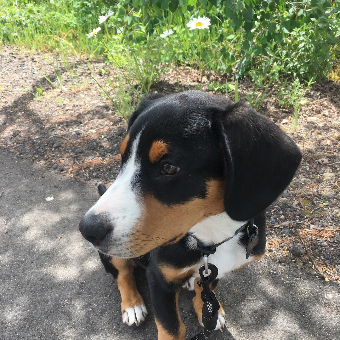 Alta is growing so fast. He’s a handsome little guy and so much fun to have in the family.