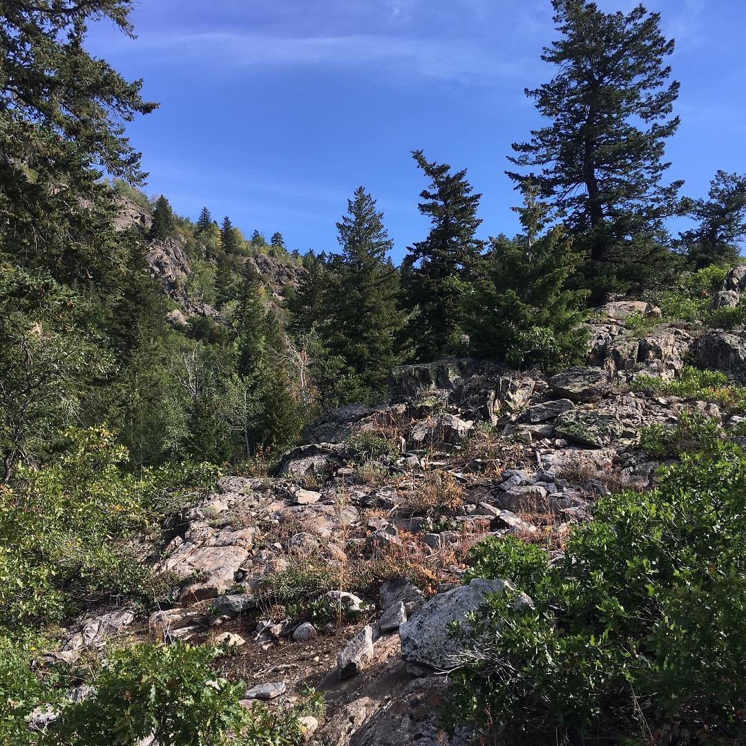 Hike to the uranium mine.