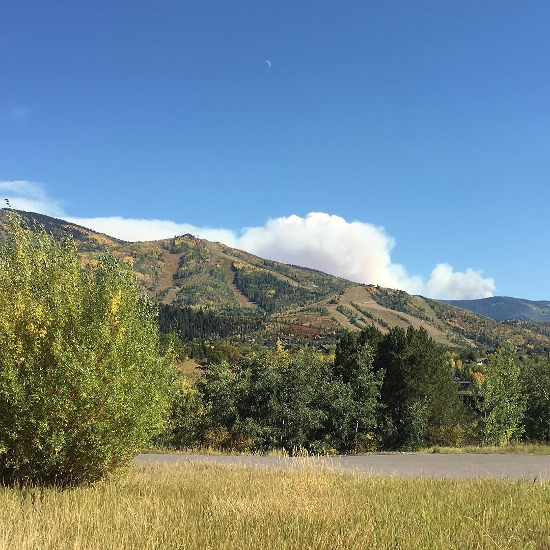 Smoke from the .