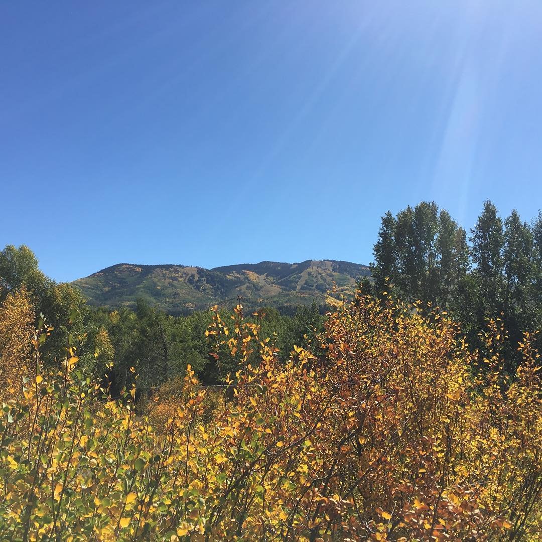 The colors in Steamboat are incredible right now.