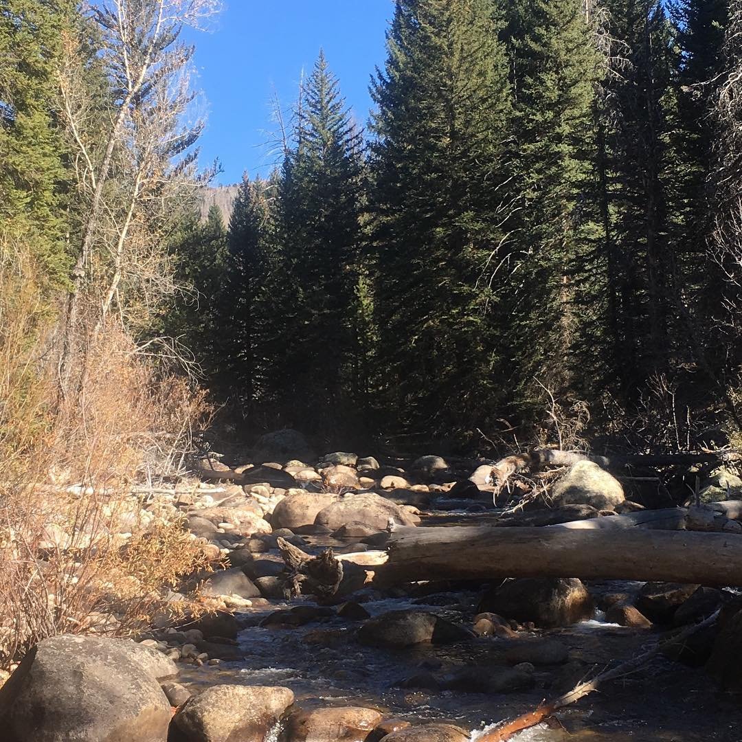 Fun hike up Mad Creek