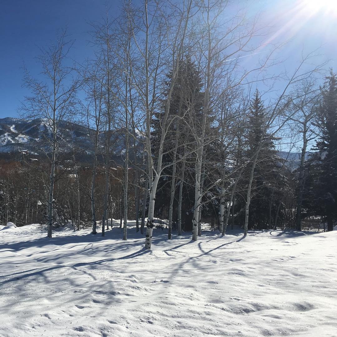 Beautiful morning in