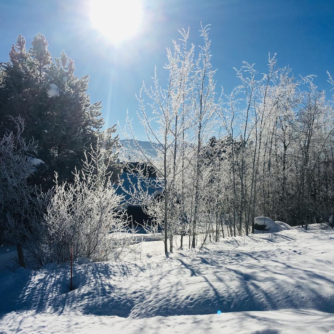 Frosty morning in the