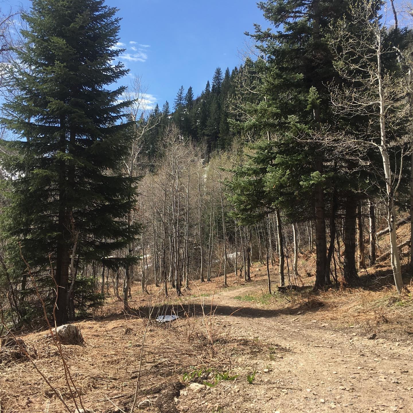Trails are drying up fast.