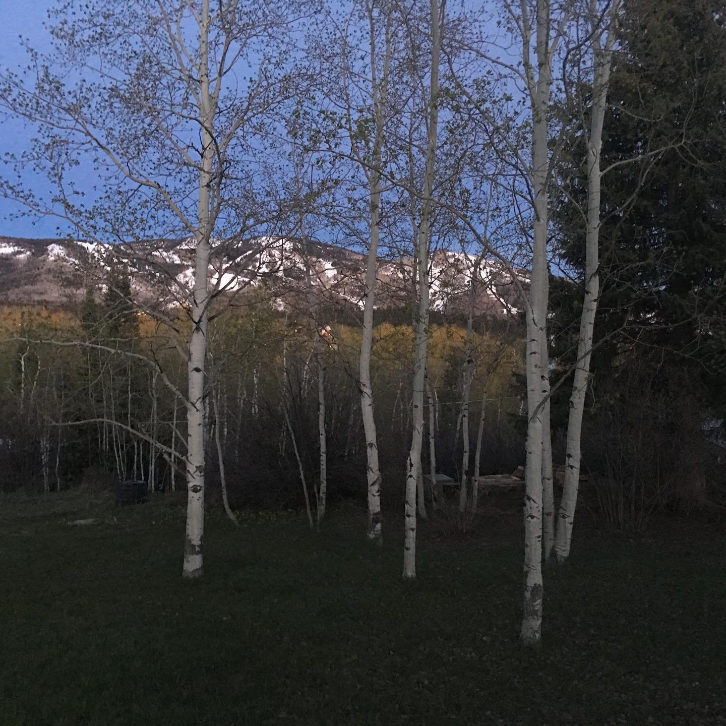 Beautiful evening in
