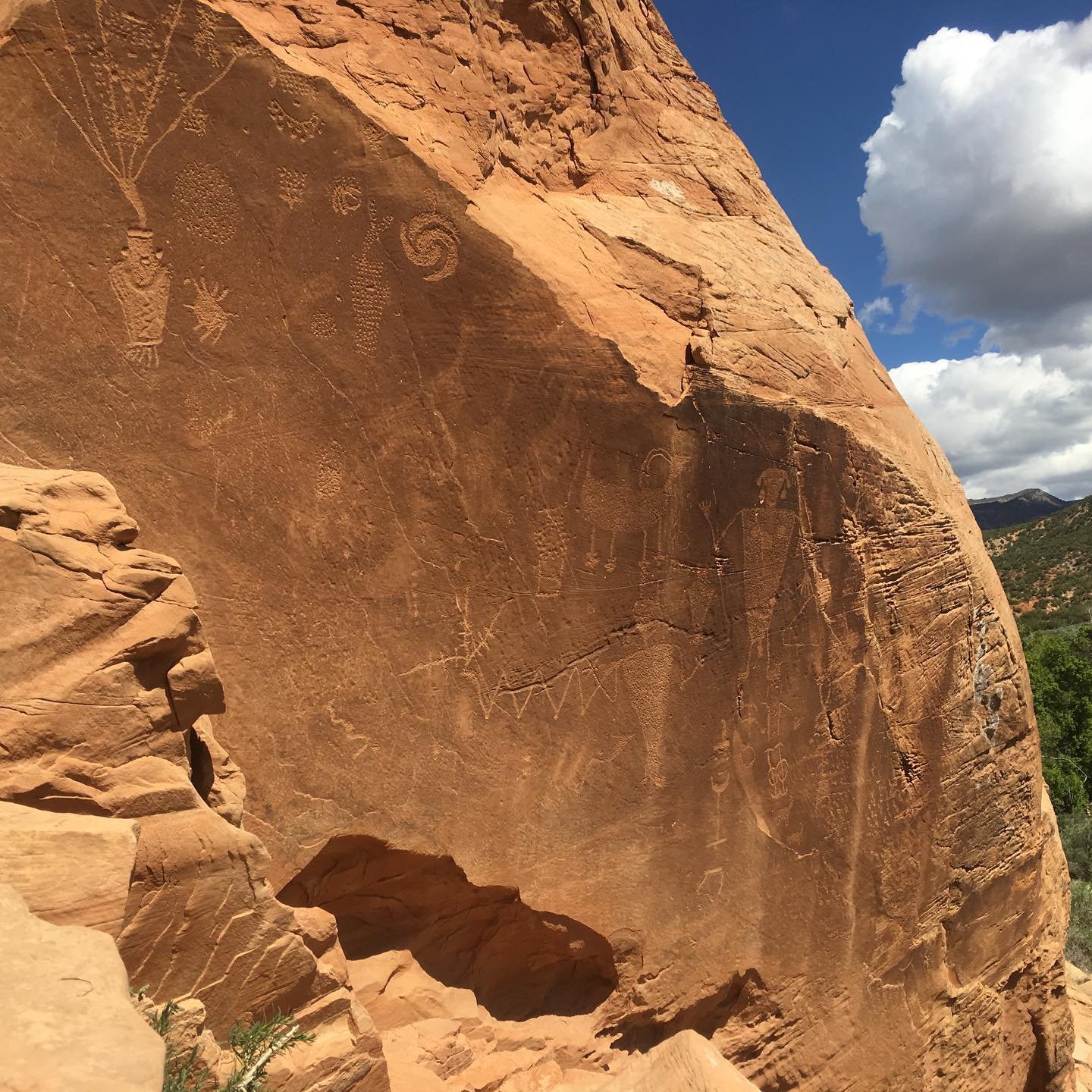 Day 2 we saw some cool petroglyphs too