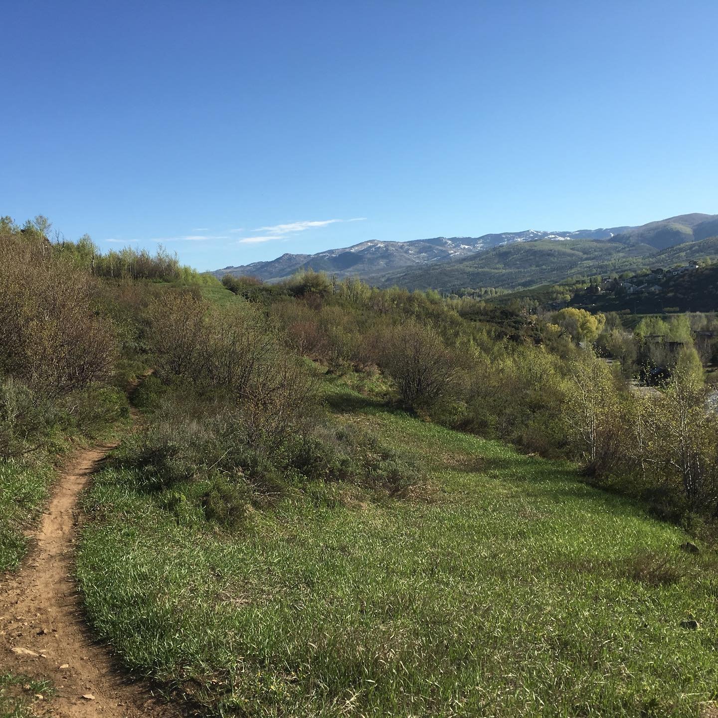 Another great morning in the Yampa Valley