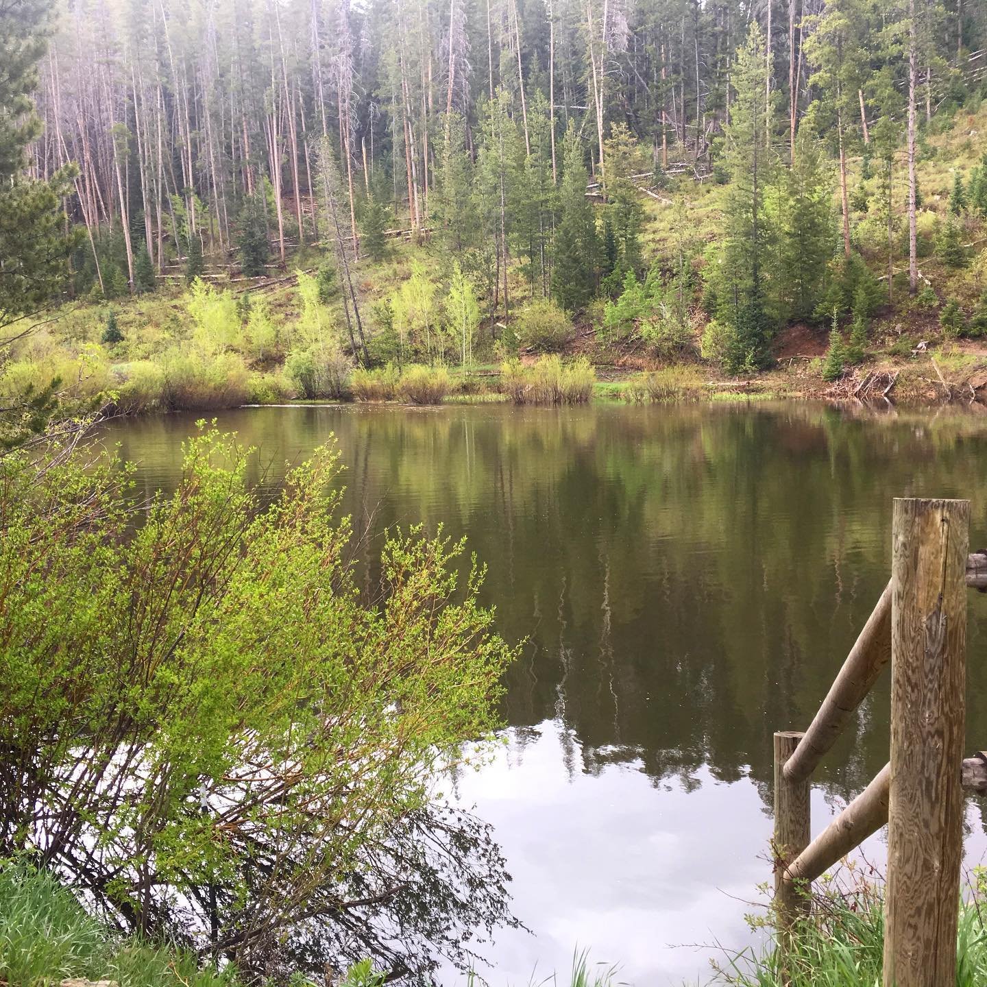 Yesterday’s ride was a race against the rain. Sometimes you win, sometimes you don’t.