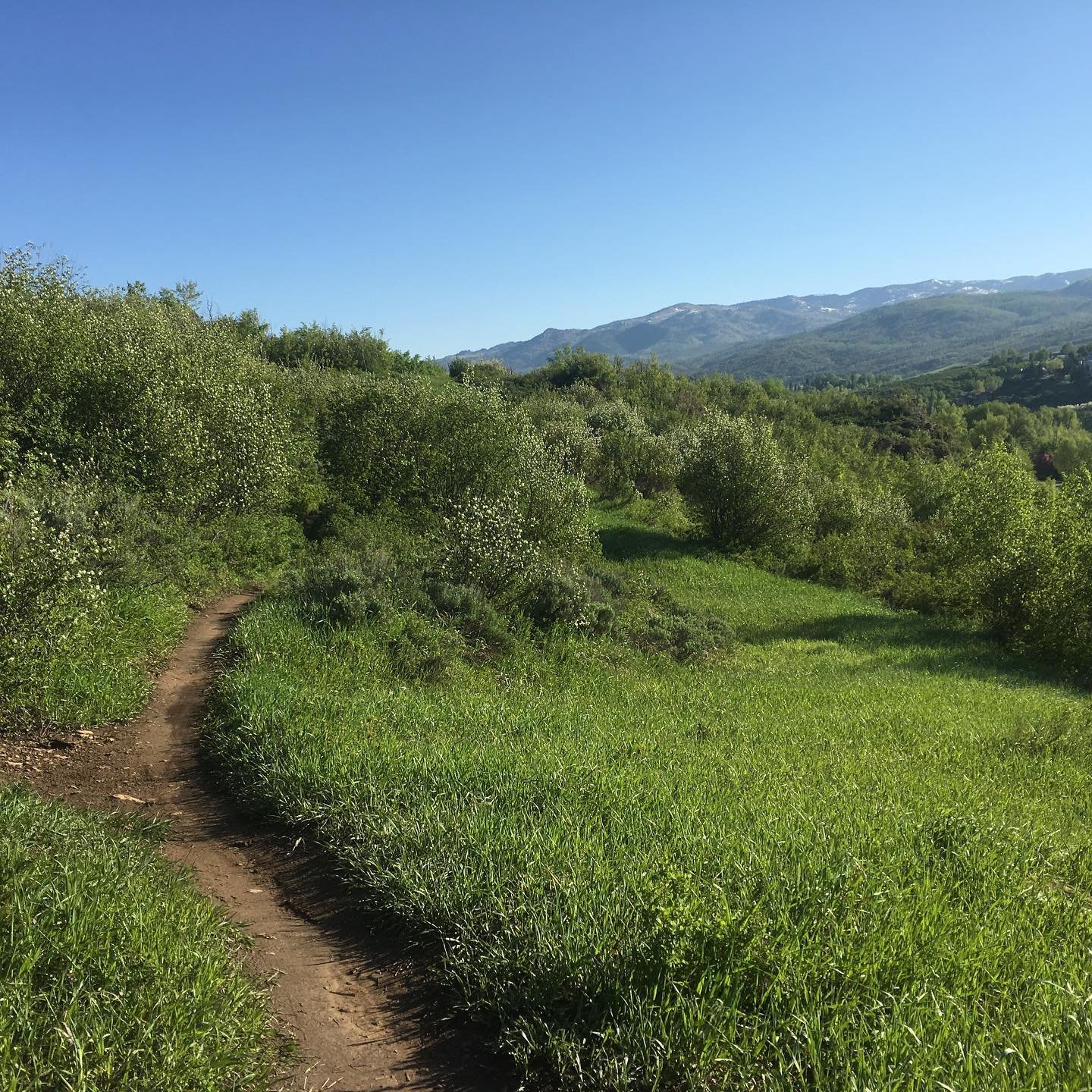 Sunny in the valley today.
