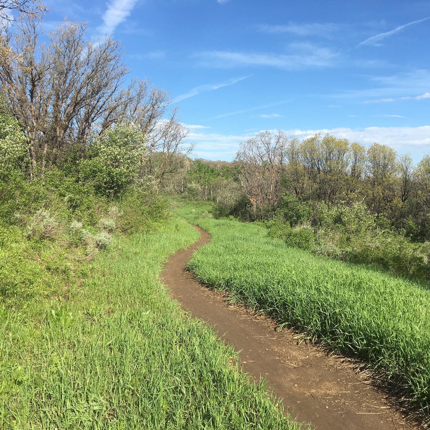 Trails are soooo good right now