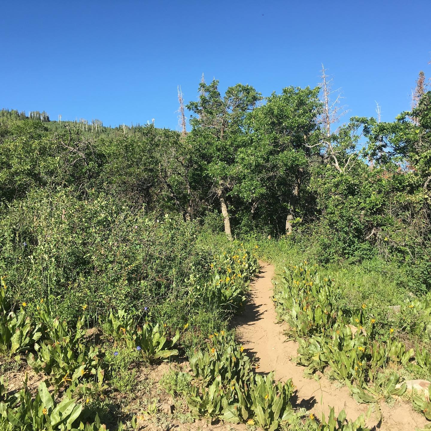 Where will your path take you today?
