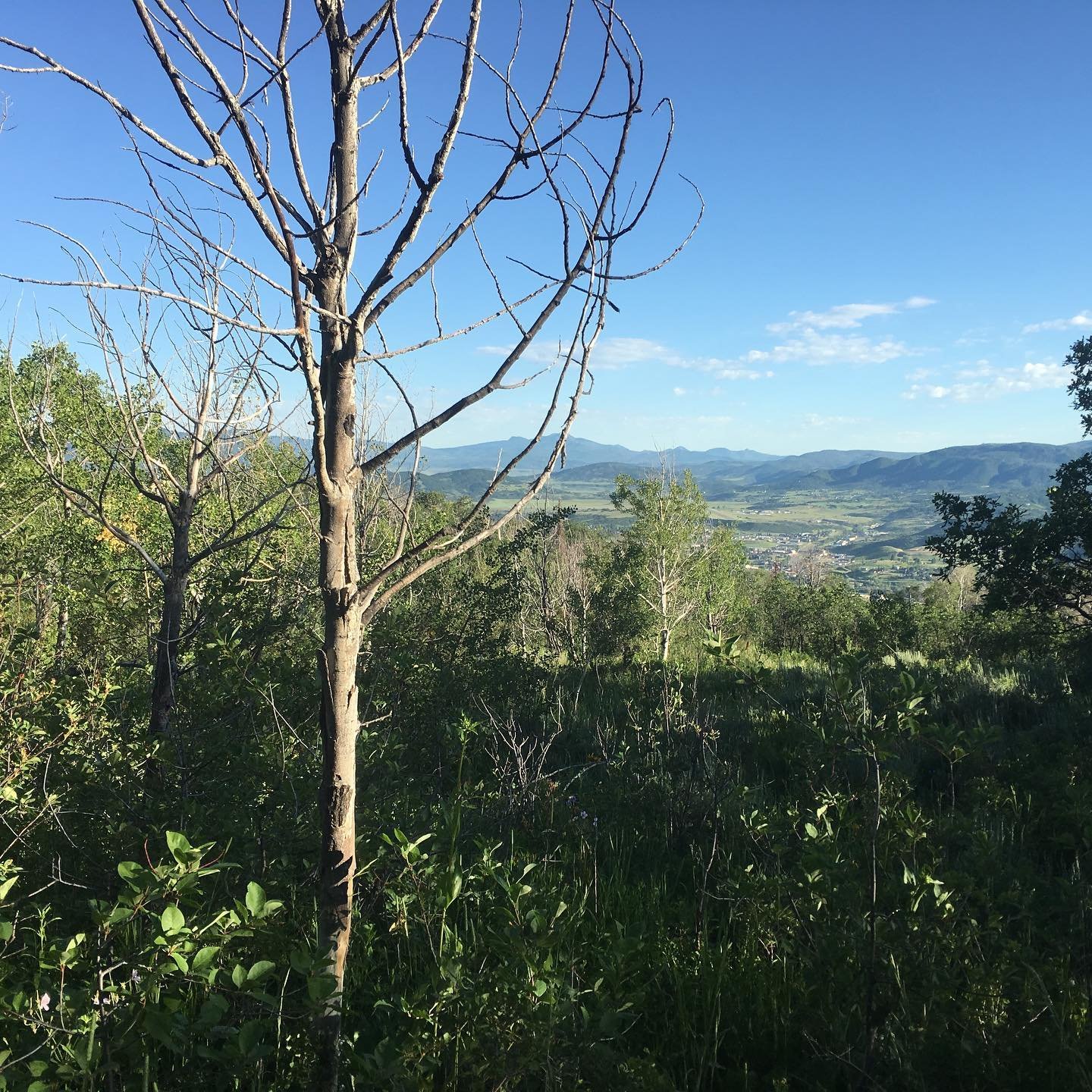 The views on Emerald never get old.
