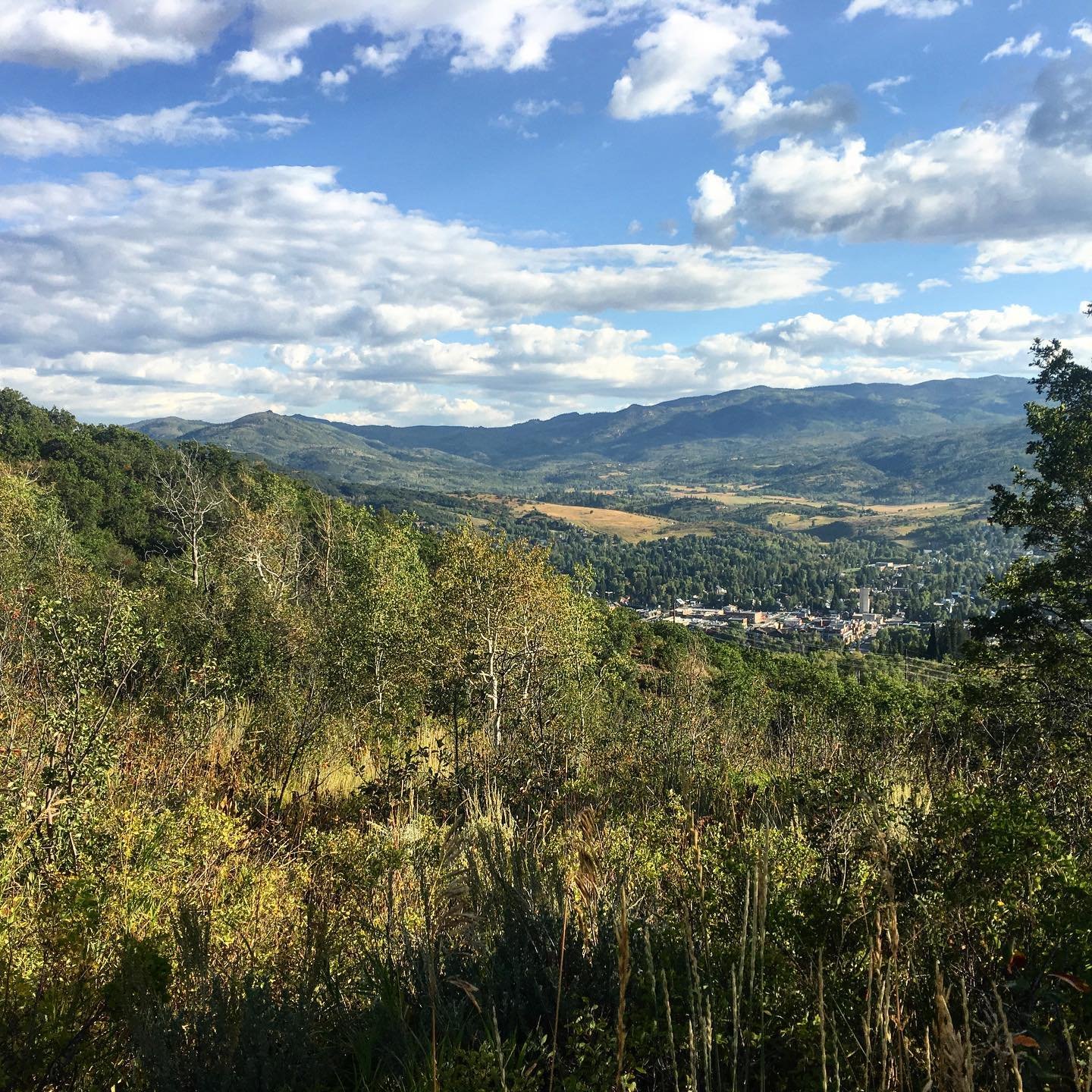 Rumor has it that we may see some snow this weekend. I’m not quite ready to lose these views.