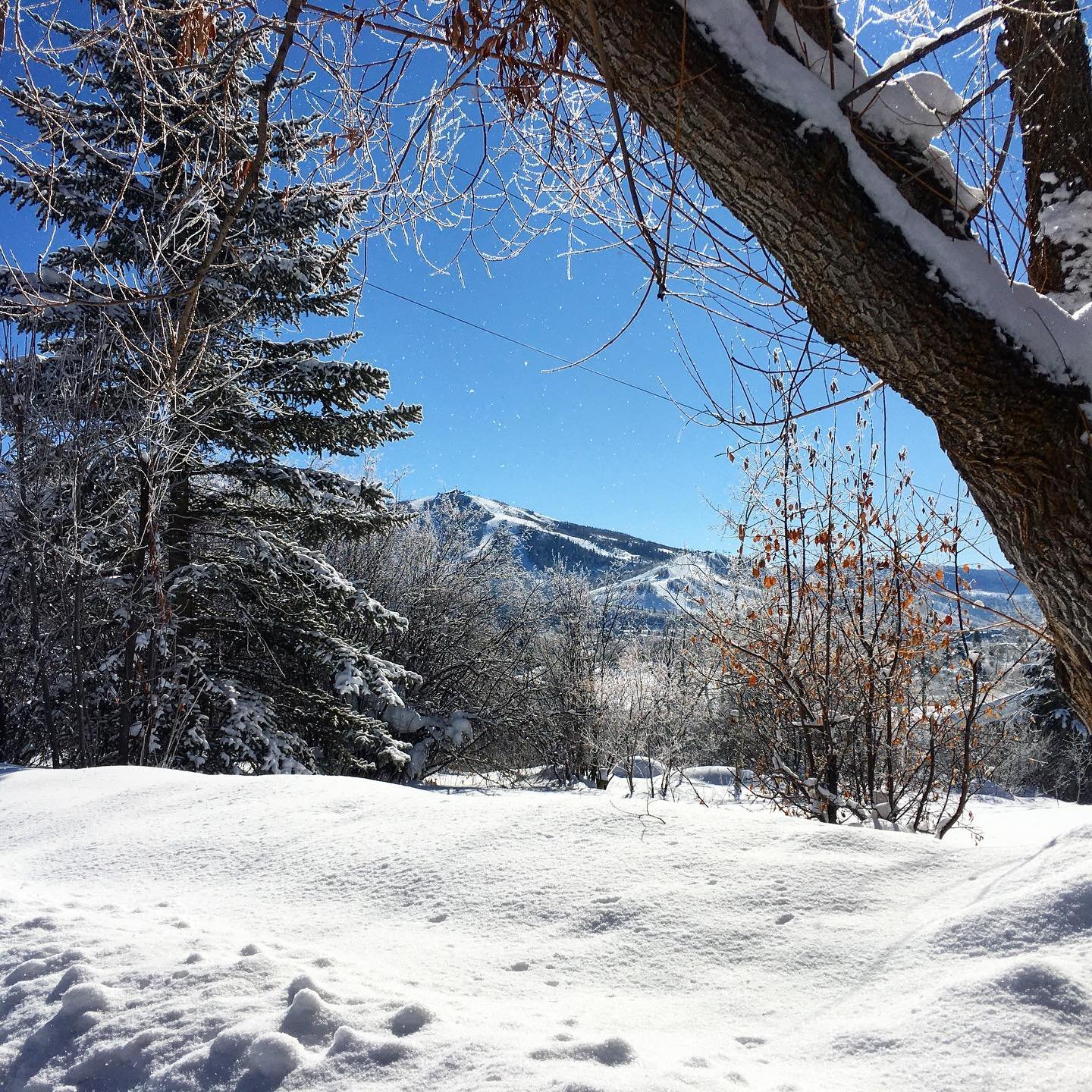 So much snow in .