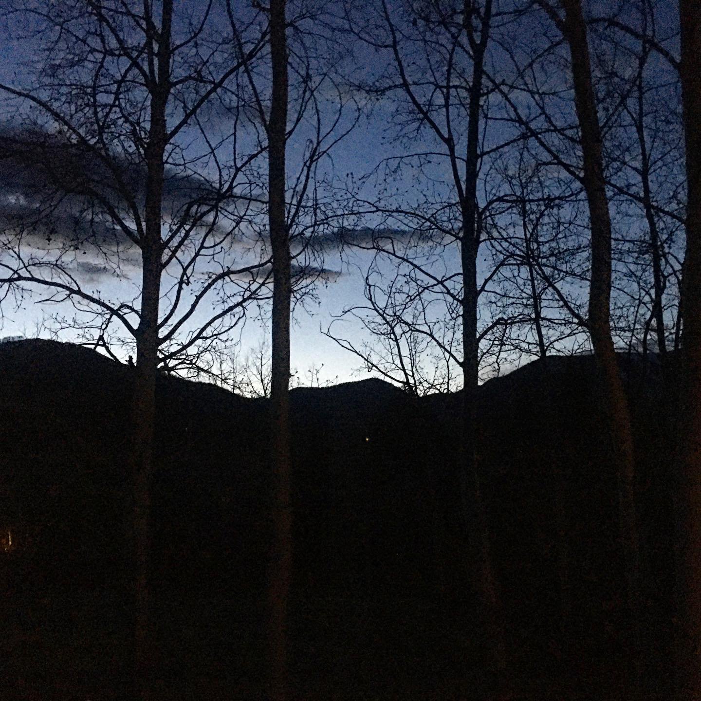 Backyard camping day 3. Good morning everyone.