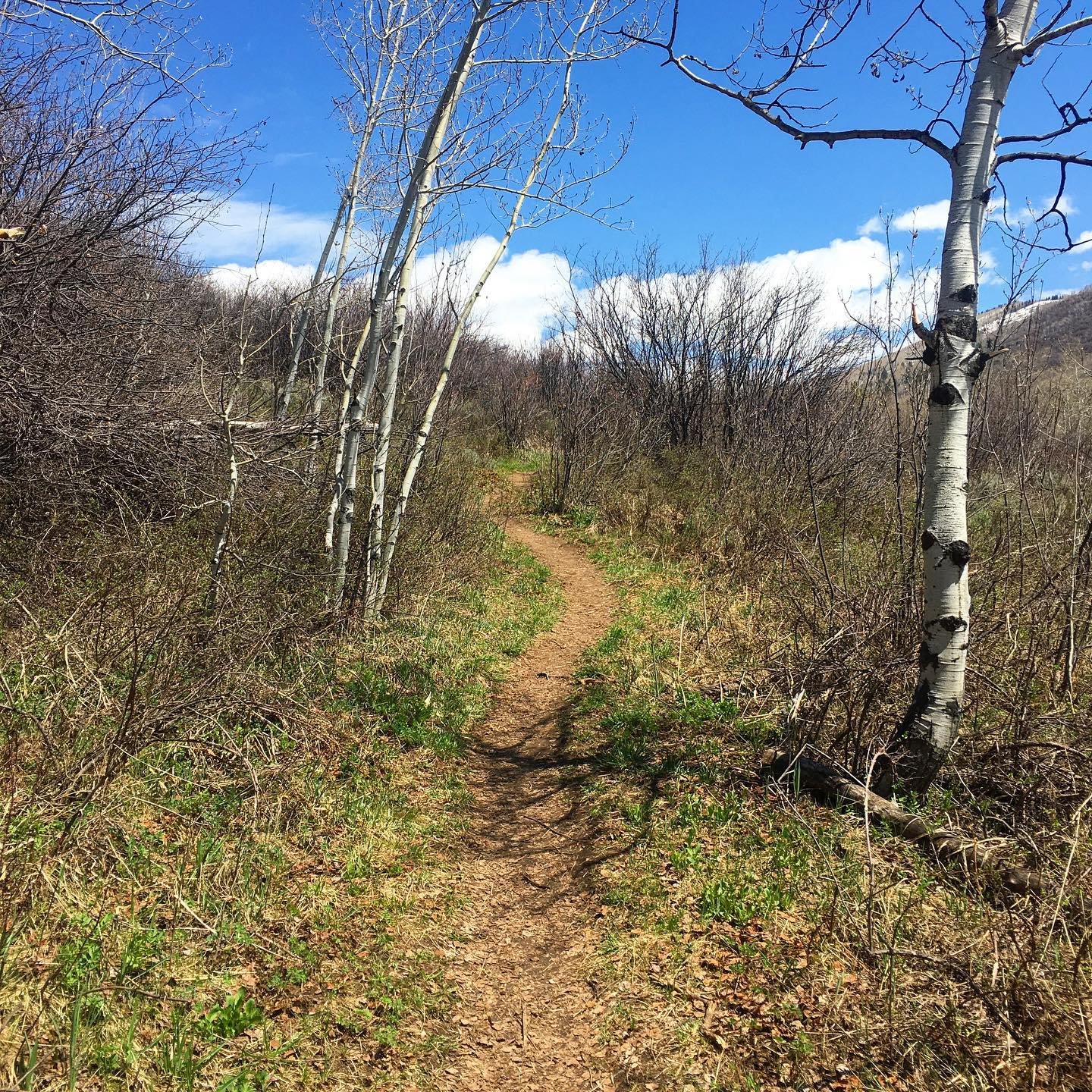 Backyard camping day 2. Took a fun hike from the trail that starts in our neighborhood.