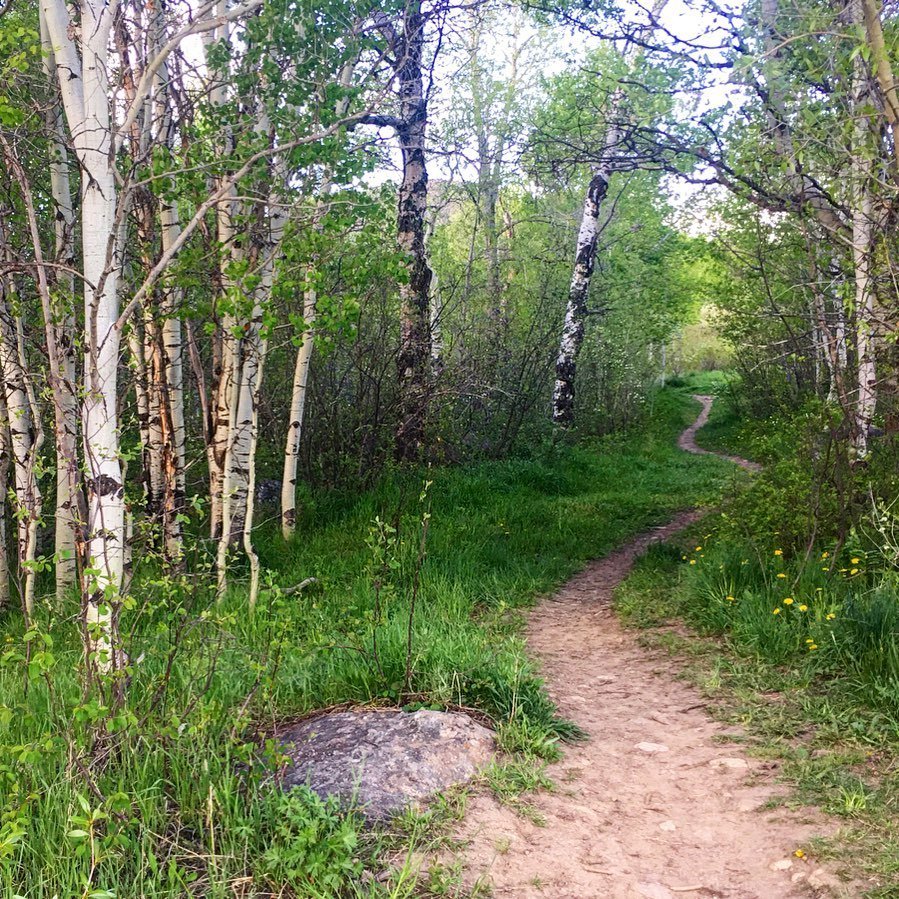 Happy Friday. Where are your trails taking you this weekend?