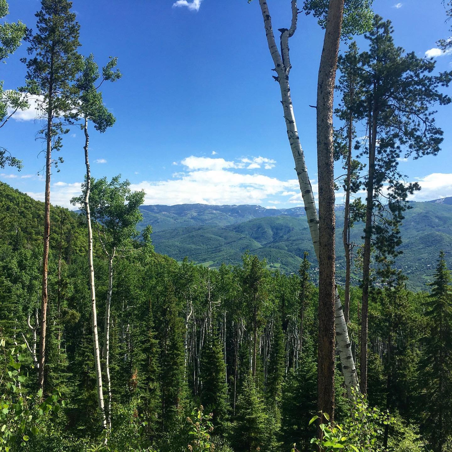 Nice day on the mountain yesterday.