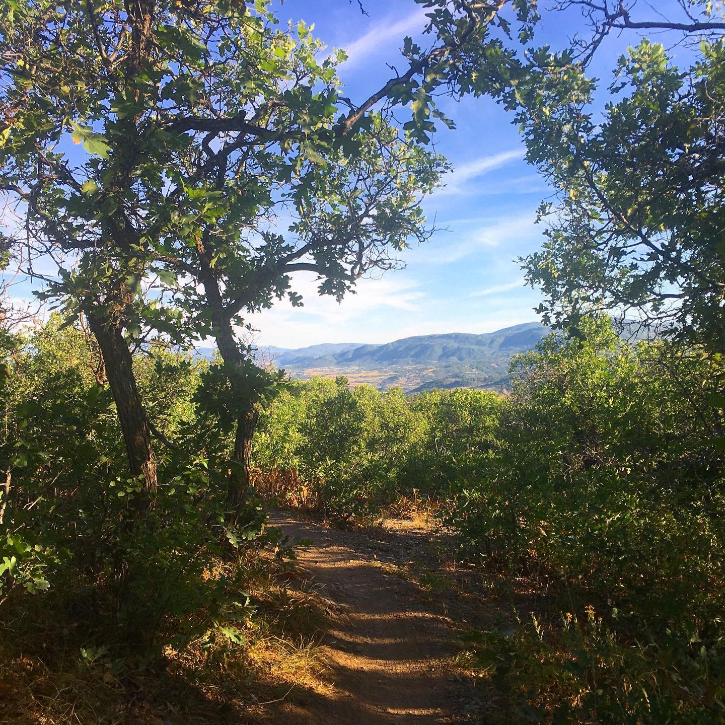 I always feel like I’m in Middle Earth when riding this trail.