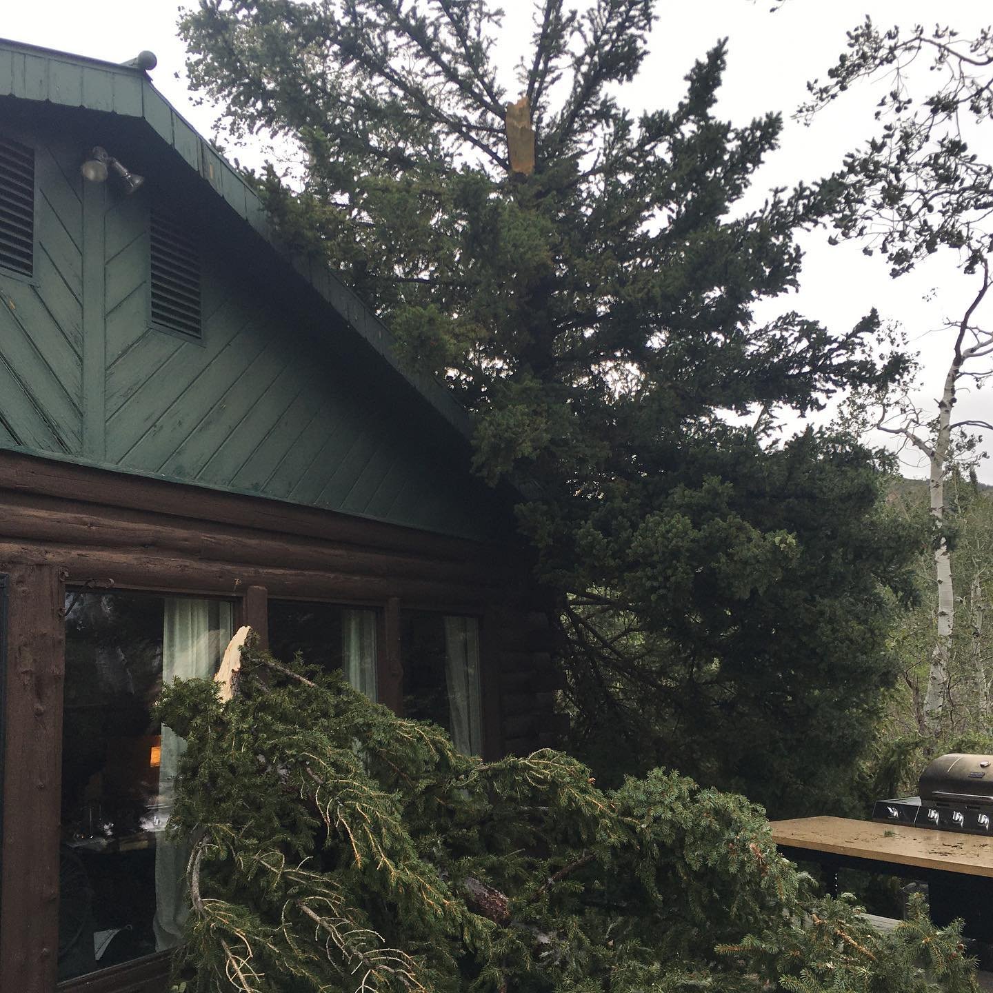 What a crazy weather day in Steamboat. We didn’t really get much snow but the wind was unbelievable. We think we lost about 9 trees. One was a 60’ pine and two other pines probably around 30’. One hit the house. Not sure of the damage but it looks like it is only minor. The silver lining is that we now have incredible ski area views. 😂