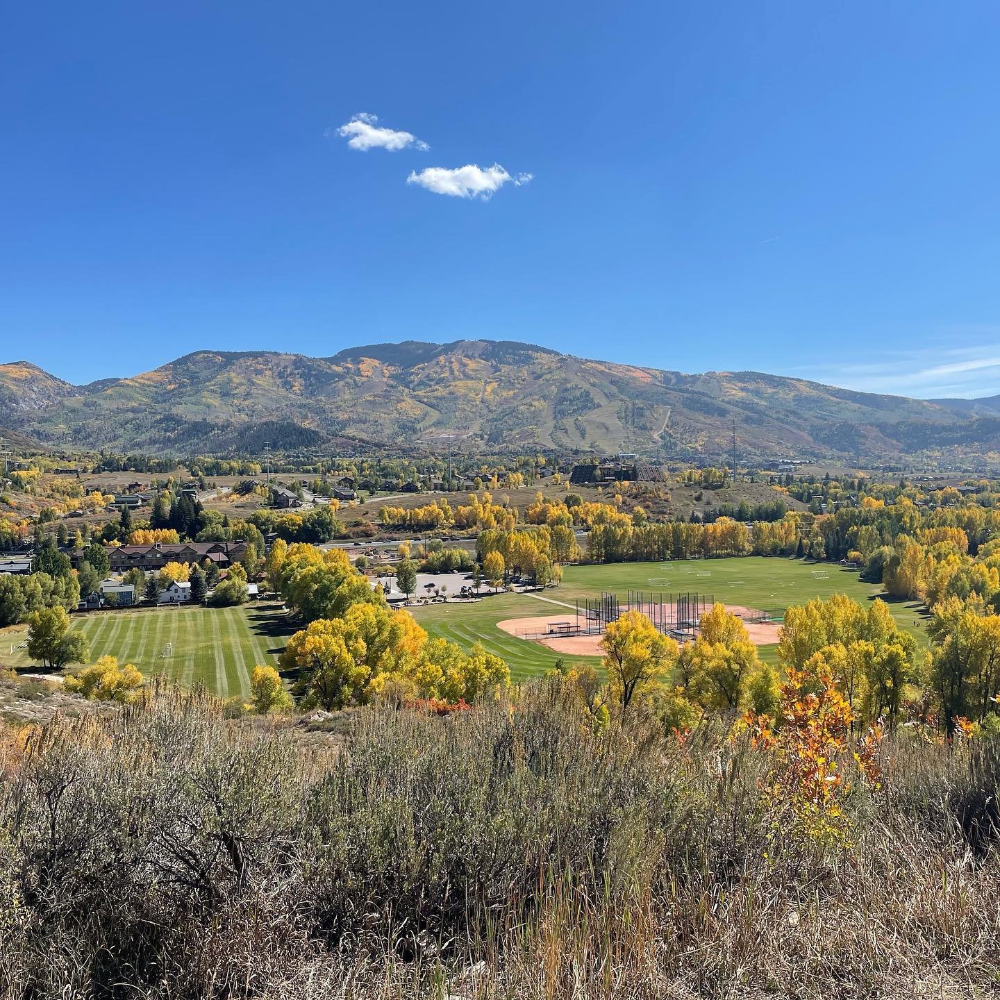 It’s really hard to keep my eyes on the trail lately… 👀 🍁