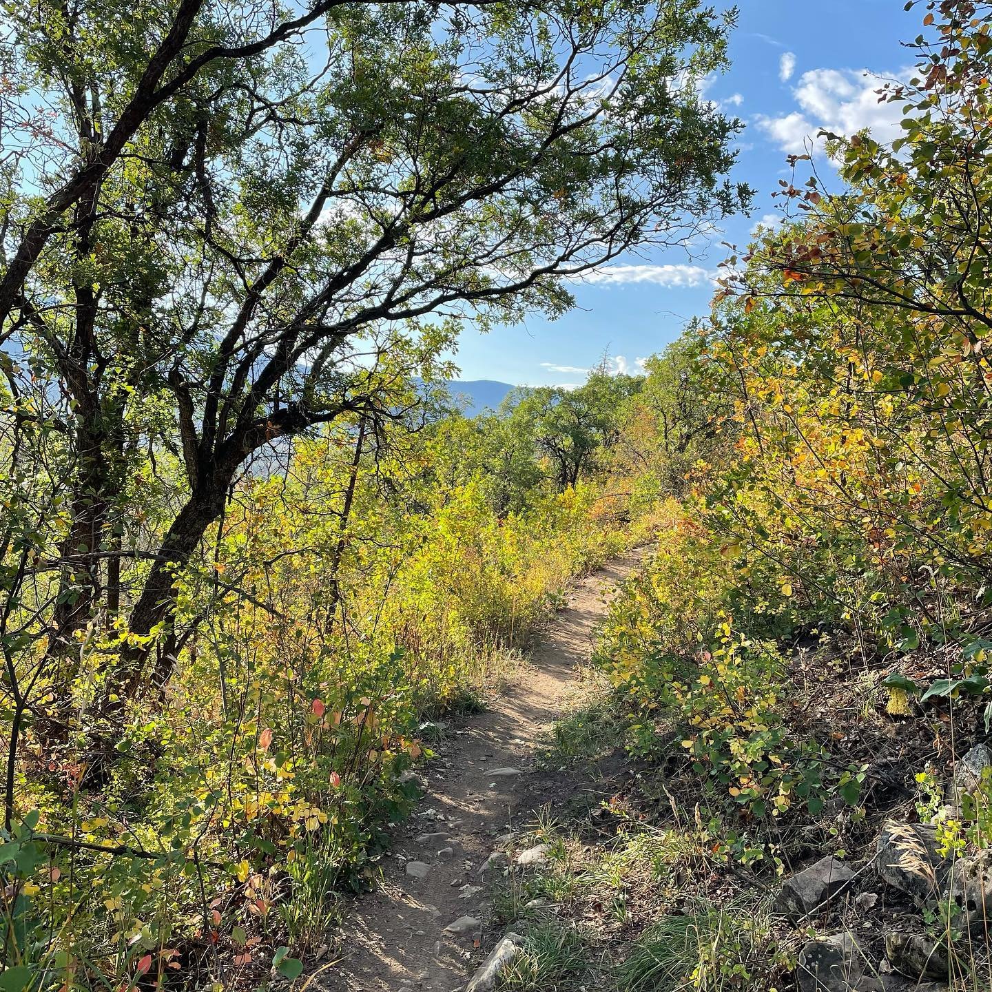 Ahh…fall colors in the