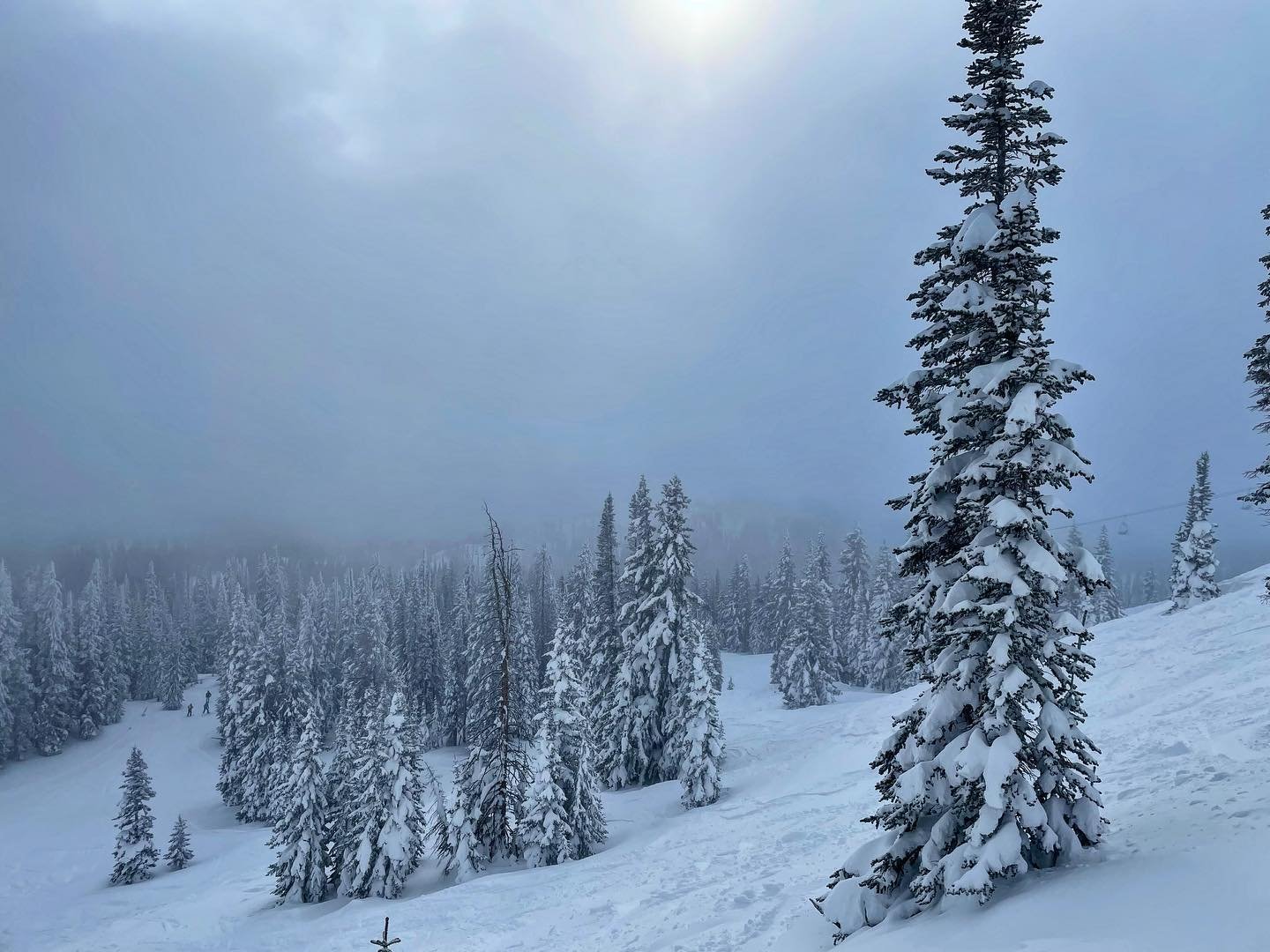 Today was one of the best days I’ve had on the mountain in several years. Mostly because I spent the day with @saranancesbs but the powder and no crowds helped a bit too. ❄️😍
