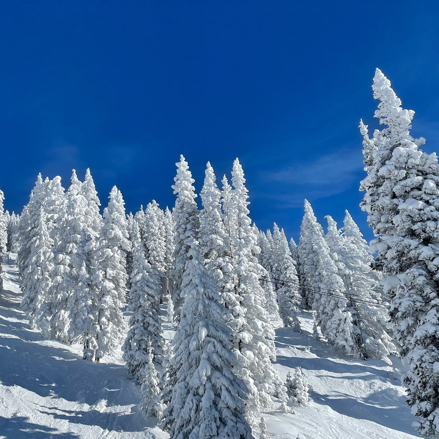 Lovely way to spend a Sunday @steamboatresort