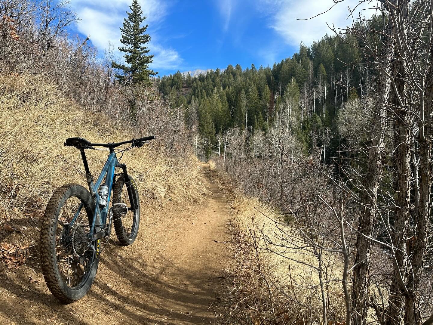 Lunch ride