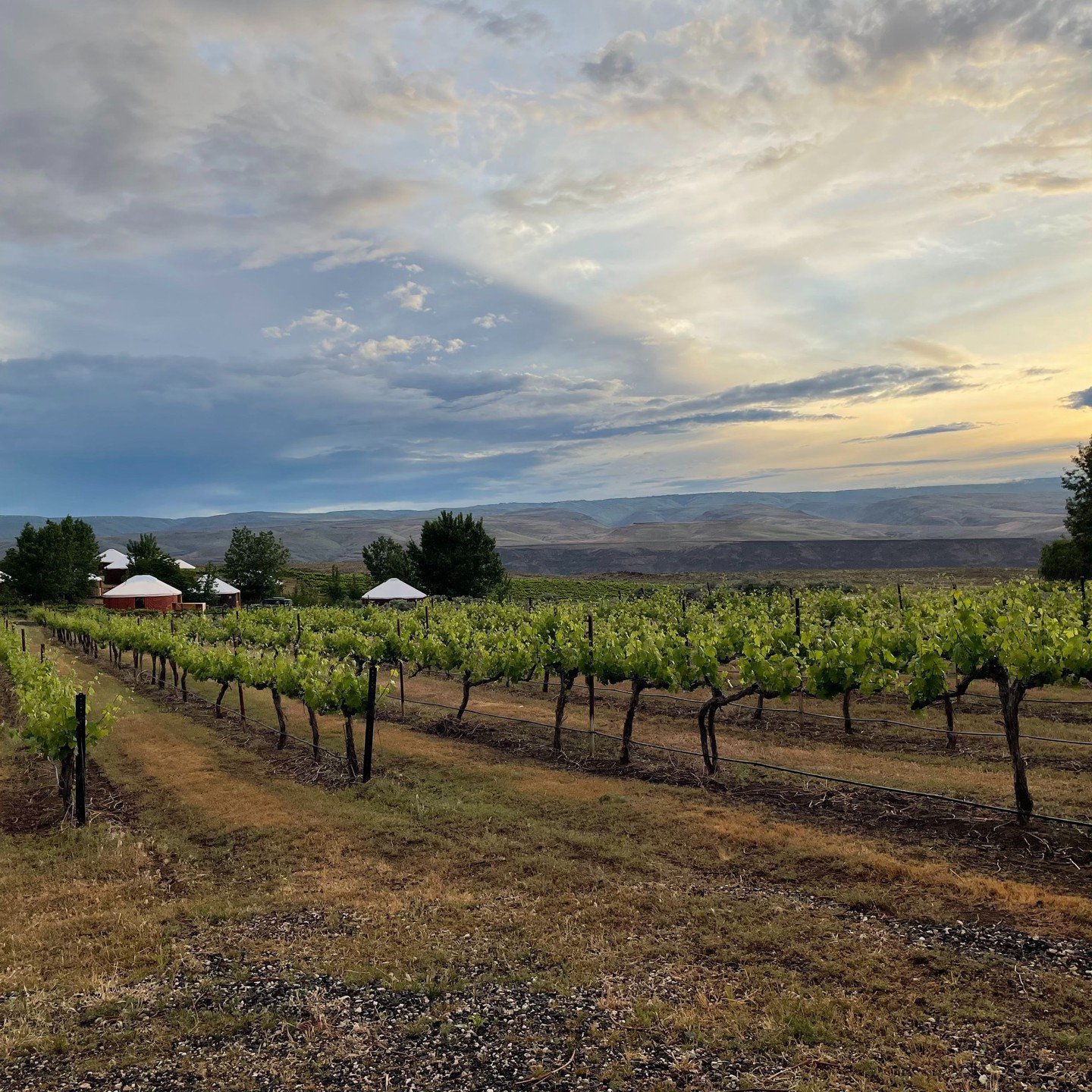 June 2022: Anniversary trip to The Gorge in WA to see Brandi Carlile with @fourlettersara