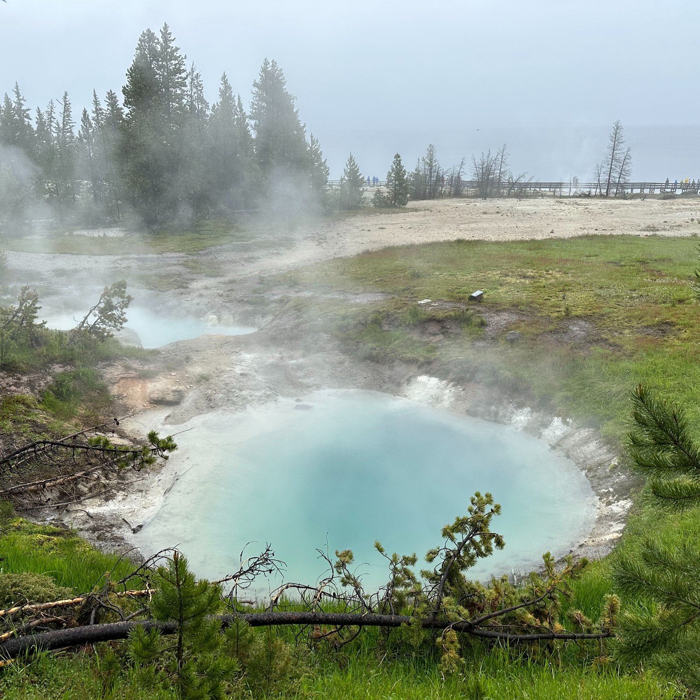 June 2023: Yellowstone National Park