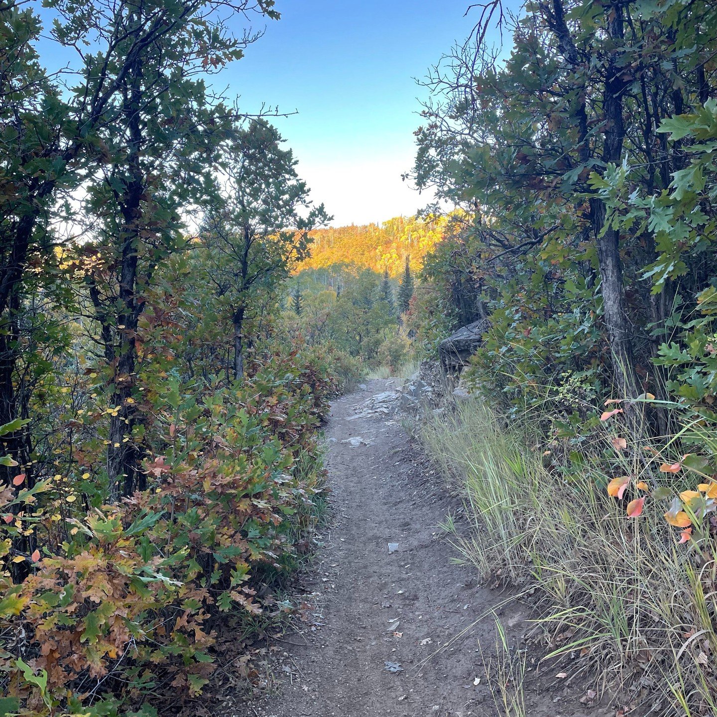 October 2022: Fall riding is the best riding in Steamboat