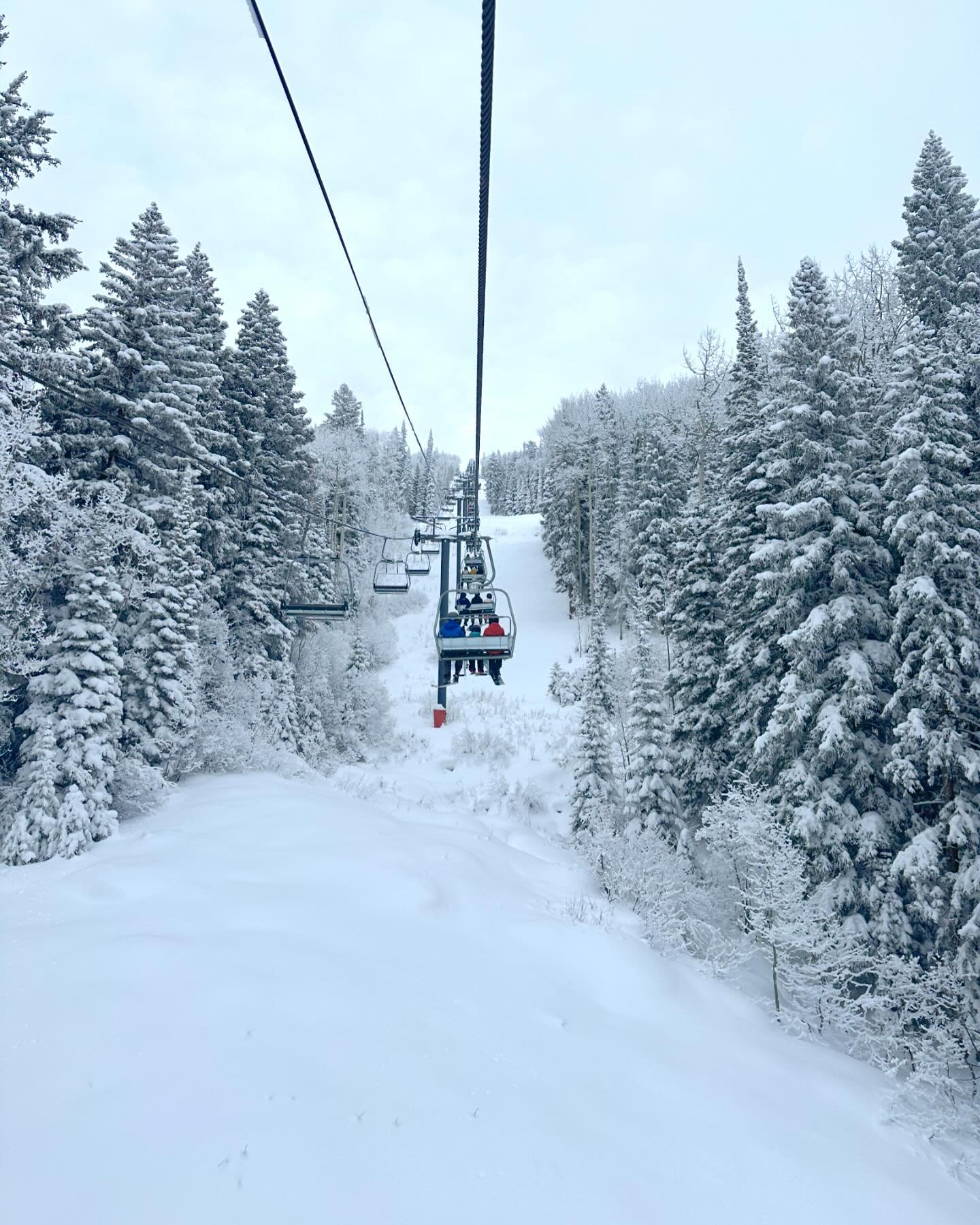 Cold and soft @steamboatresort
