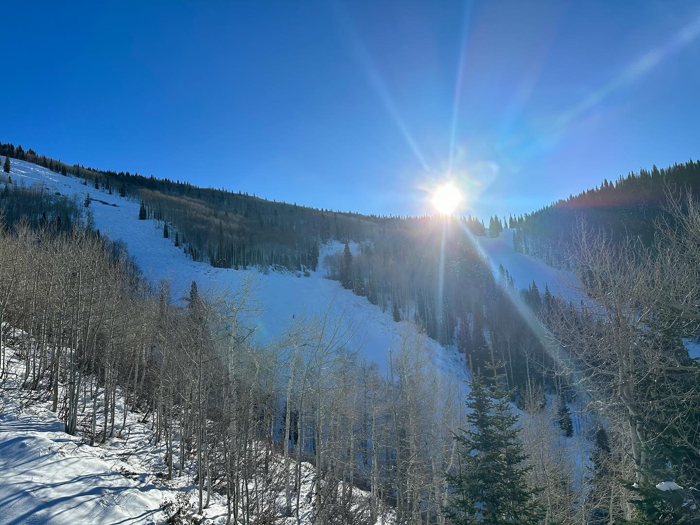 Fast day of groomers @steamboatresort