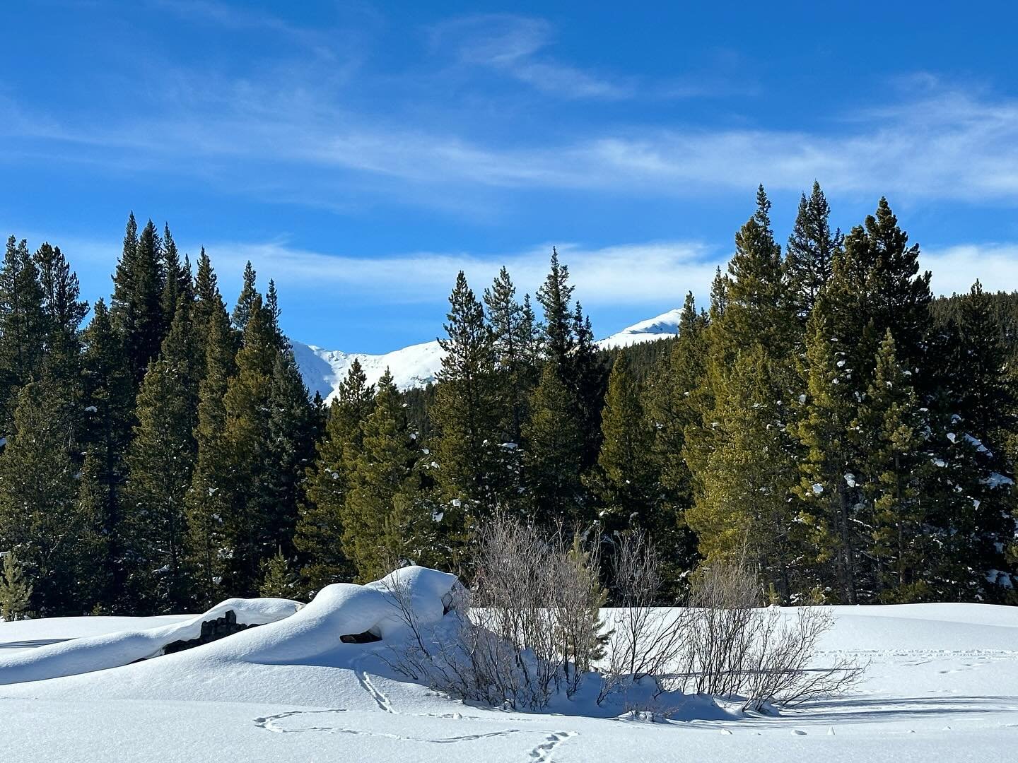 Hike on Tennessee Pass