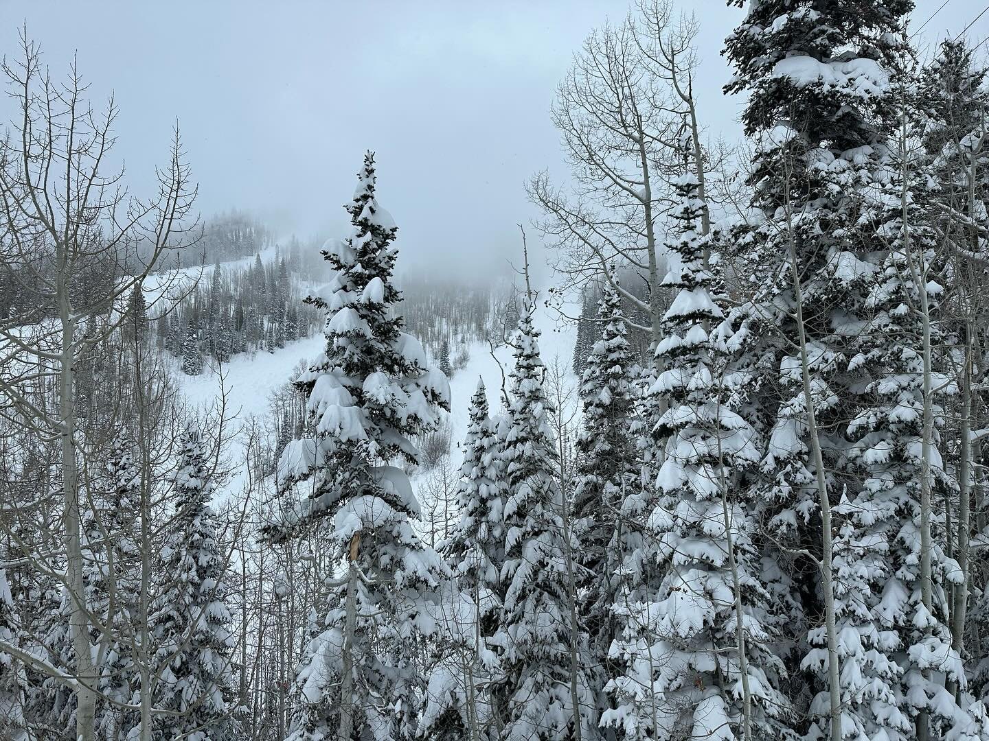 Another powder day in the books @steamboatresort.