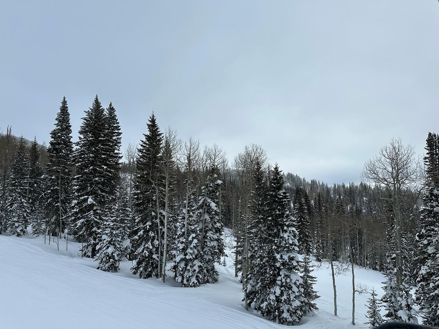 Another low light fast groomer day @steamboatresort