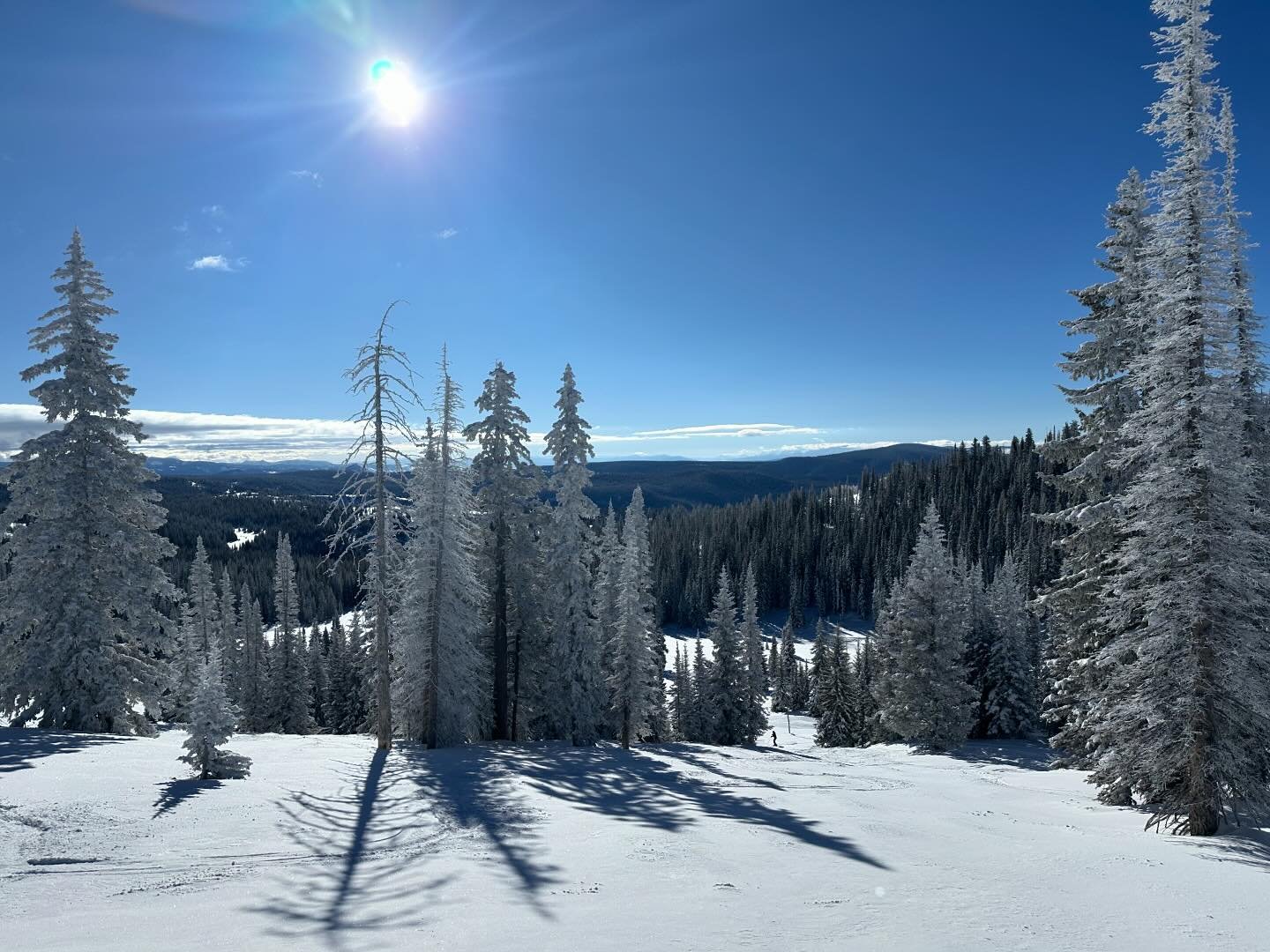 Another incredible day @steamboatresort with sun, fresh snow, trees, rock drops, short lift lines, bluebird skies, empty seats at lunch in Thunderhead…