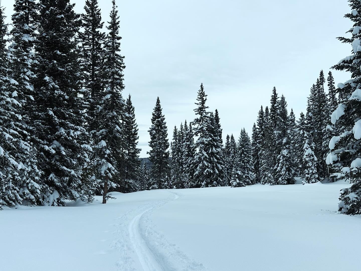 Snowshoe adventure on Rabbit Ears Pass