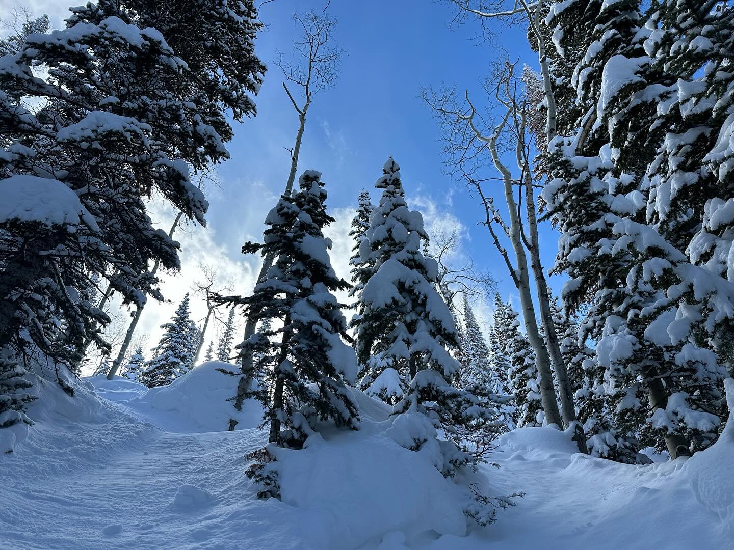 Great job Mother Nature. You brought the goods @steamboatresort