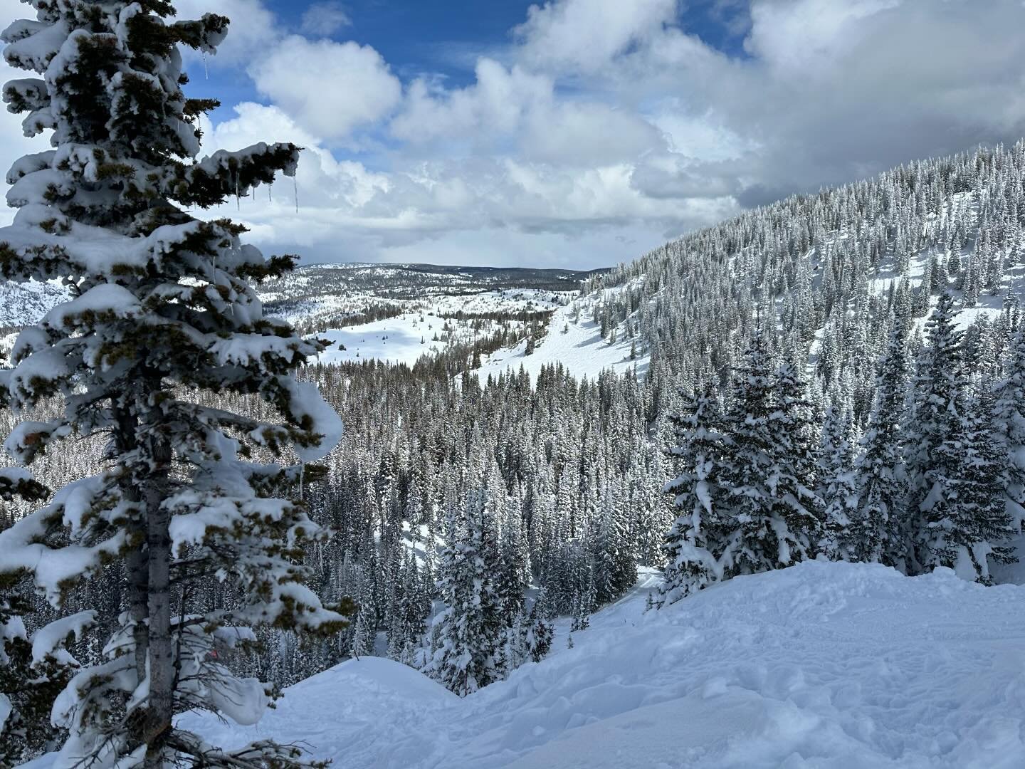Afternoon shred fest @steamboatresort
