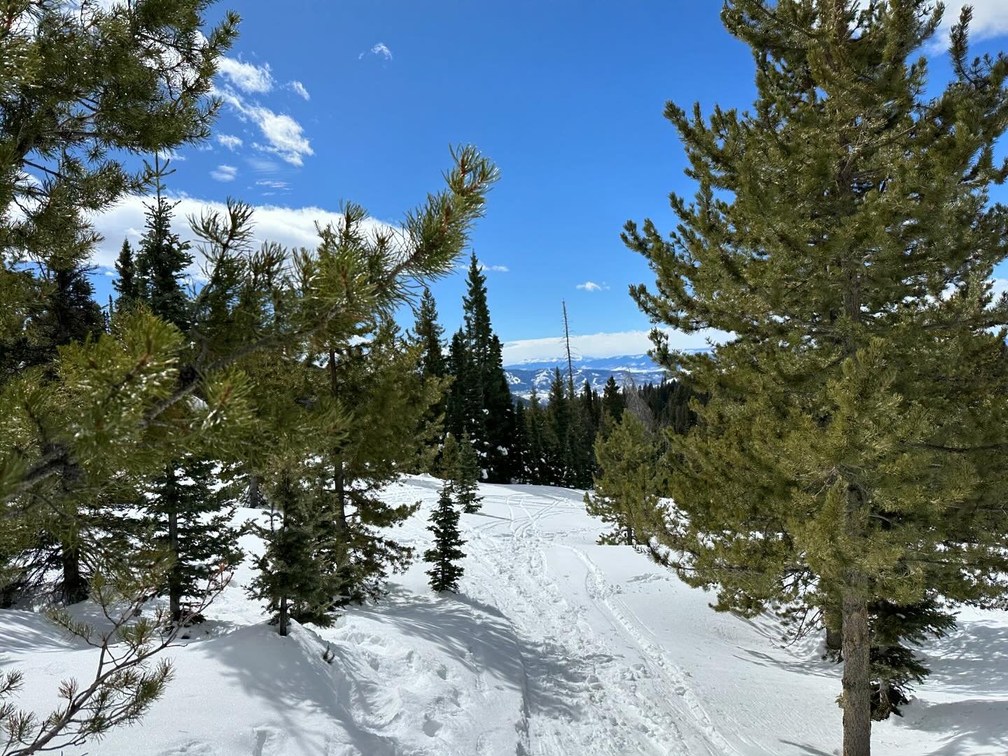 Saturday snowshoe hike on Rabbit Ears